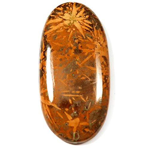 Jaspe toile d'araignée cabochon ovale 53,8 ct pour création bijoux