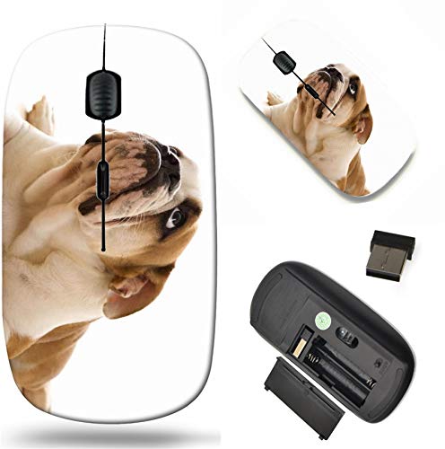 Wireless Mouse 2.4G Black Base Travel Wireless Mice with USB Receiver, Noiseless