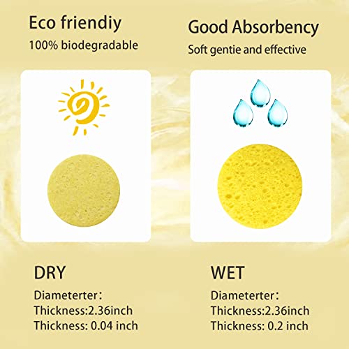 Spunspon 100-Count Facial Sponges Compressed Natural Cellulose Sponge Round Shape Face Sponge for Face Cleansing Exfoliating and Makeup Removal - Image 3