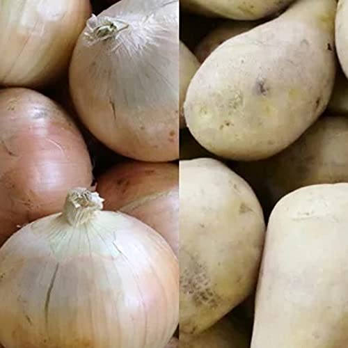  ؃Zbg [NC 10kg kC ʂ˂ 10kg v 20kg LTCY kC Ⴊ [NC ܂˂ ^}lM ʔK Zbg 