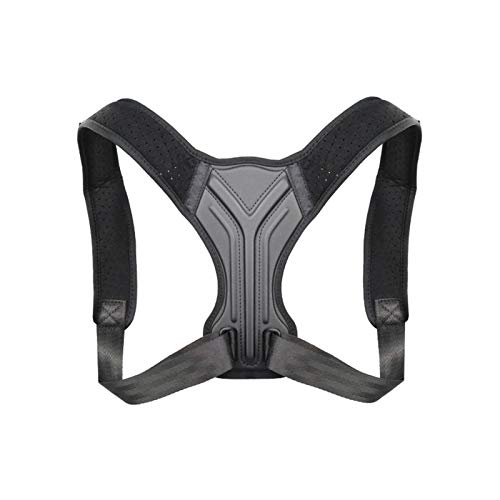 w߉\ȎpxgҒŒjEꉮOw㕔Ŏp (F : M) charitable