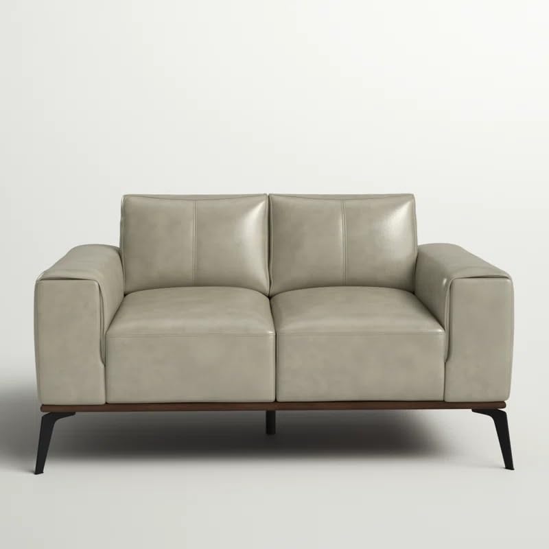 Image of LEGACY OF COMFORT Conley 58'' Leather Loveseat 2 Seater Sofa Two Seater Lounger for Living Room Offices Hotels (Ash Green, Two Seater)
