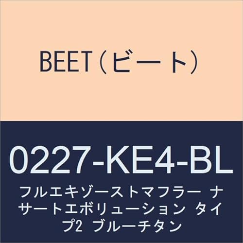 BEET(r[g) tGL][Xg}t[ iT[gG{[V ^Cv2 u[`^ 18 jW400/19 Z400 0227-KE4-BL
