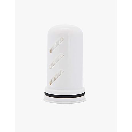 LifeStraw Home Replacement Membrane Microfilter: Shield Your Water from Contaminants