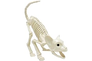 Posable Skeleton Cat Halloween Decoration