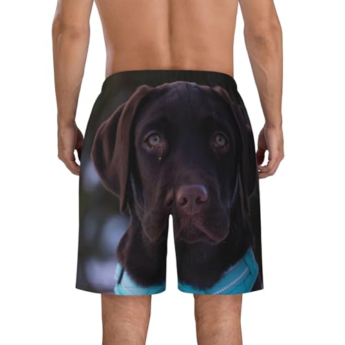 Men's Beach Shorts Labrador Retriever Mens Swim Trunks Board Shorts with Pockets Swimwear Bathing Suits4