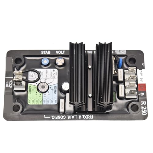 AVR R250 stabilisateur automatique protégeant les équipements