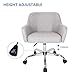 SMUGDESK Home Office Chair Padded Computer Task Chair Adjustable Desk Chair with Swivel Casters for Office Leisure Grey