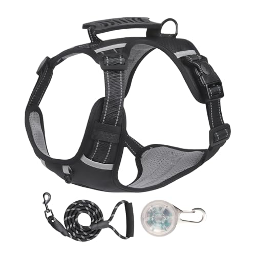 pn[lX,\ xXg dϋv h~ - \  hbO[v | g~O Lv nCLO s g[jO TCNO p