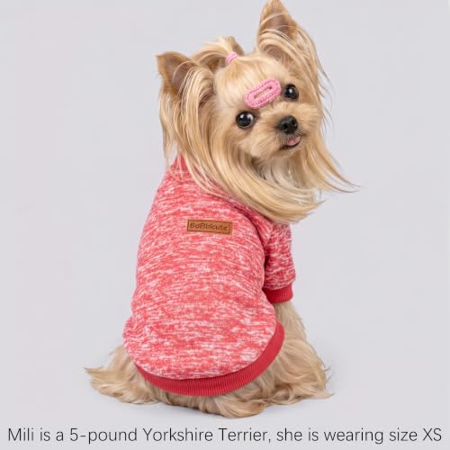 Image of 1 Pack Dog Sweaters for Small Dogs Girl Boy Winter Fleece Clothes Warm Soft Dog Sweatshirt Outfit for Dogs Cats Pet Apparel