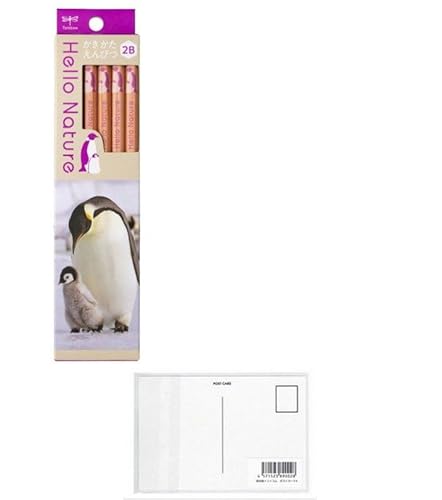 g{M M M 2B n[lC`[ yM 1_[X KB-KHNEP2-2By܂Ƃߔ × 2pbNz + މhbgR |Xg J[hA