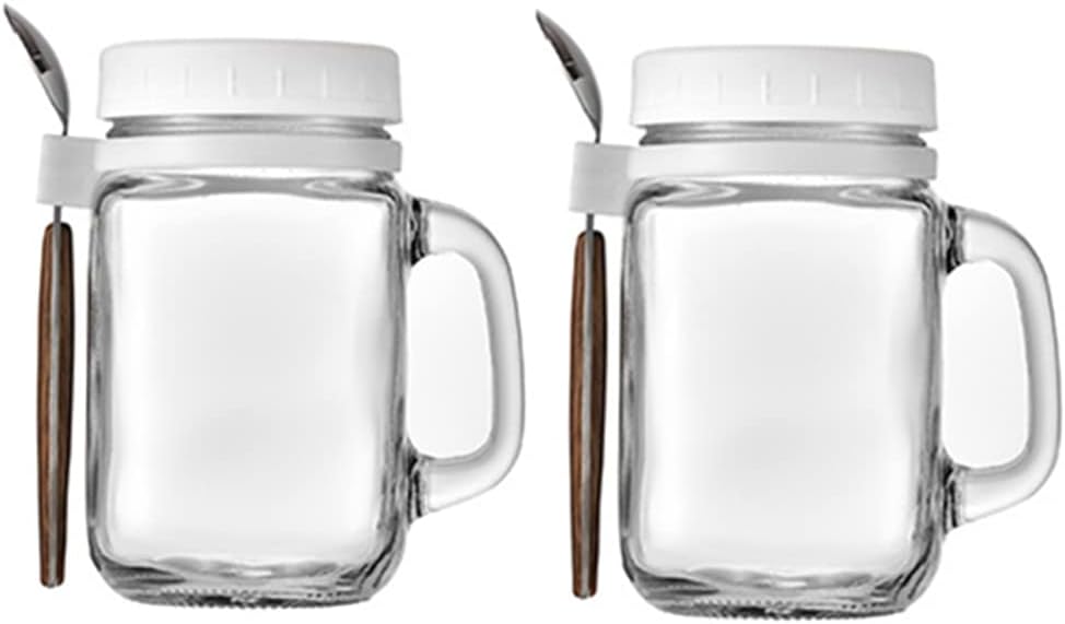 Tarros de avena con cuchara y tapa, paquete de 2 tarros de avena de vidrio de 16.2 onzas con asa, tarros herméticos de gran capacidad para frutas,