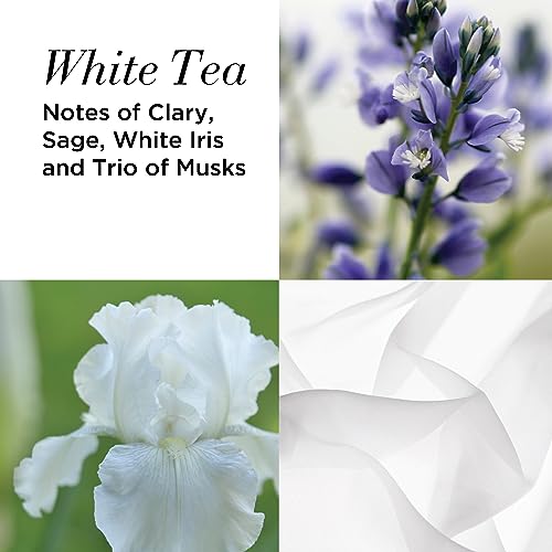 Elizabeth Arden FRAGRANCE COFFRET Red Door, Green Tea and White Tea 3-piece Set, fragrance gifting, for women - Image 6