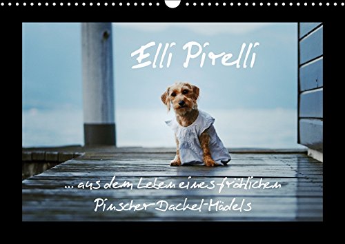 Elli Pirelli... aus dem Leben eines fröhlichen Pinscher-Dackel-Mädels (Wandkalender 2018 DIN A3 qu Elli Pirelli... aus dem Leben eines fröhlichen Pinscher-Dackel-Mädels (Wandkalender 2018 DIN A3 qu