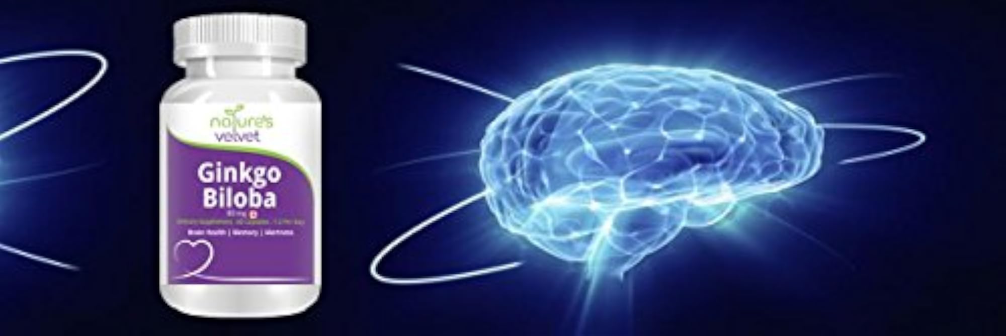 Ginkgo Biloba Extract Capsules for Cognitive Support