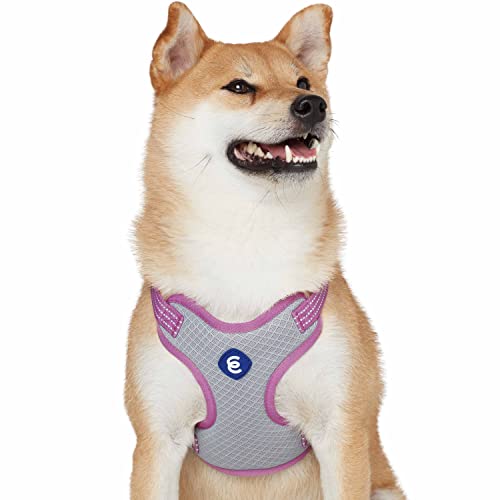 Blueberry Pet Essentials Back to Basics Reflective Dog Harness Vest, Mauve Orchid, Small, Adjustable Harnesses for Dogs by Blueberry Pet - Image 7