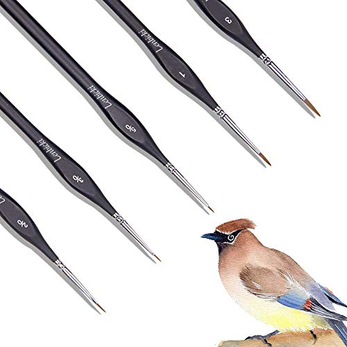 Best Detail Paint With Brushes