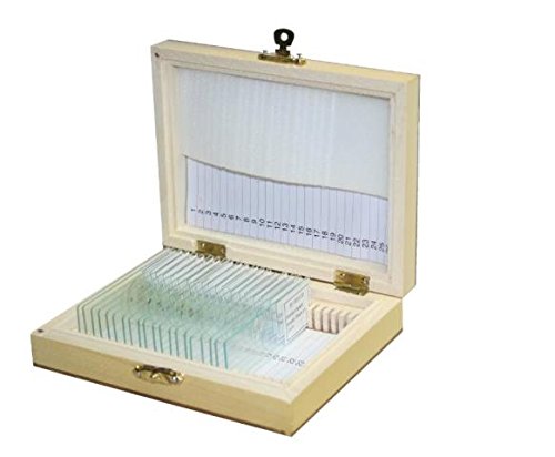 Vision Scientific VSB003 Prepared Slide Set – Common Interest (Set of 20)