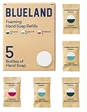 BLUELAND Foaming Hand Soap Tablet Refills - 5 Pack | Eco Friendly Products & Cleaning Supplies | Holiday Scents | Makes 5 x 9 Fl oz bottles (45 Fl oz total)