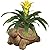 Classic Home and Garden Cement Buddies Indoor Outdoor Planter with Drainage Hole, Turtle, Rust, Small, 6in