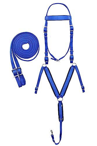 CHALLENGER Horse Western 3-Piece Nylon Bridle Breast Collar Reins Tack Set 601J02RB-F