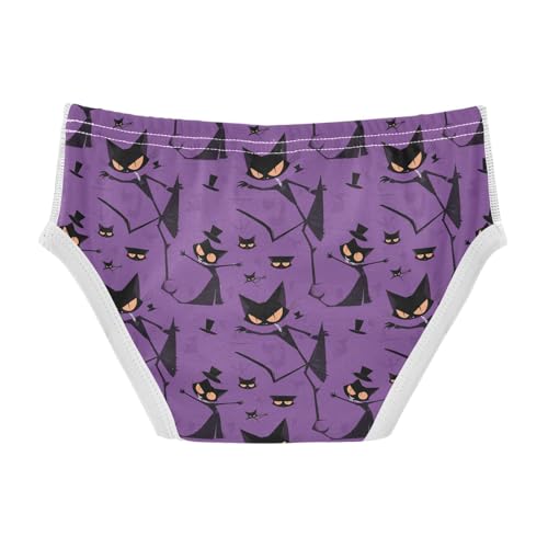 visesunny Boys Potty Training Underwear Evil Black Cat Purple Breathe Cotton Briefs Size 2T-8Y for Toddler2