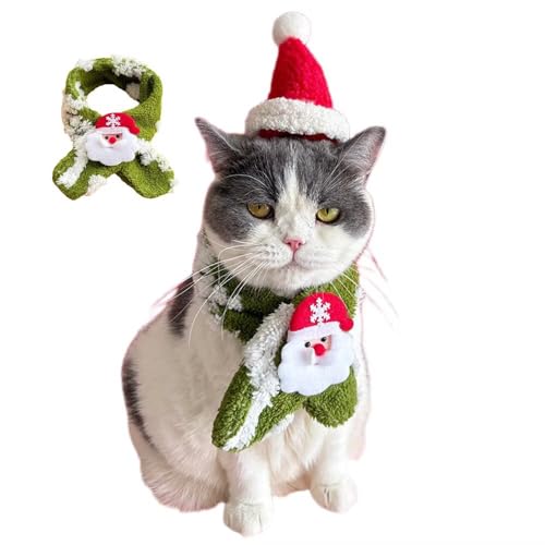 Yucahype NX}X ybg RX`[ RXv  Lp }t[ Xq  ߑ ybg ^ ^ ^ NX}X ʐ^Be (L O[)