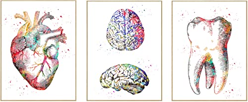 Arte de anatomía con diseño de corazón humano, dientes de cerebro, pintura en lienzo, pósters e...