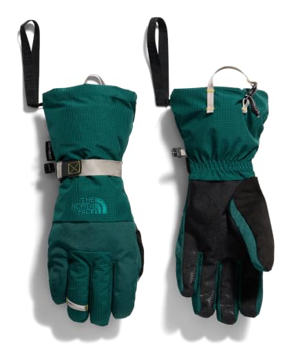 THE NORTH FACE Homme gants ski Montana, bleu, très grand