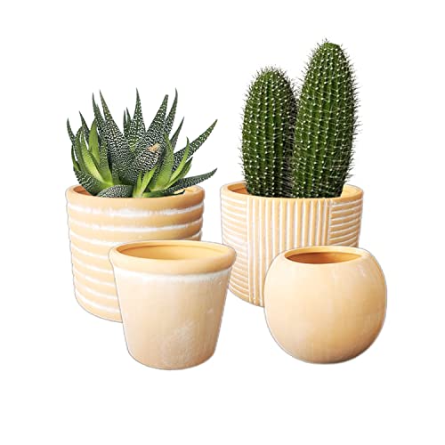Olly & Rose Portofino Terracotta Plant Pots - Set 4 - Designer Shapes Succulent Cactus Pots - White Washed Terracotta Planters #TOP3