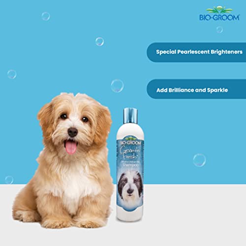 Image of Biogroom Groom N Fresh Odour Eliminating Conditioning Sulfate-Free Dog Grooming Shampoo Unique Fragrance of Finest Perfume Oils for Healing, Soothing and Hydrating Dog Coat, 355ml | Sulfate-free deodorizing shampoo for a fresh, clean, and healthy coat.