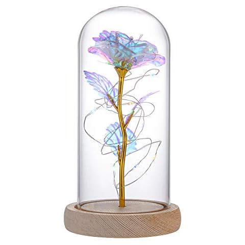 Beauty and The Beast Rose Kit Artificial Colorful Gold Roses Flower Unique Gifts Cover