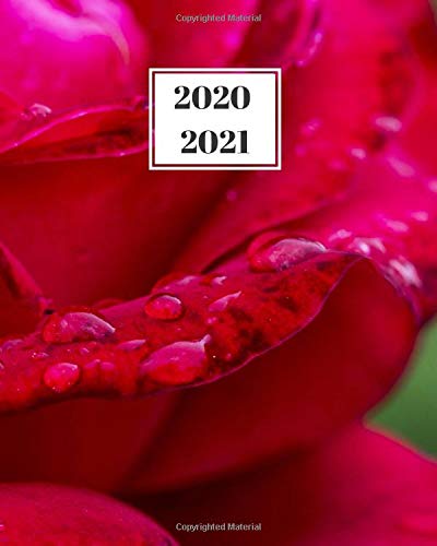 2020 – 2021 Planner: 2 Year Daily Weekly and Monthly Organizer ...