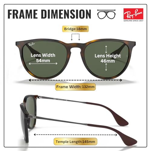 Image of Ray-Ban RB4171 ERIKA CLASSIC Phantos Shaped Sunglasses for Women with Official RAYBAN Eyewear Kit