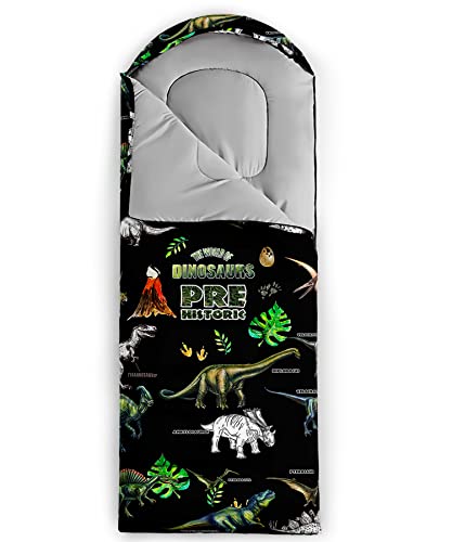 BailiPromise Camping Sleeping Bags,3 Season Warm & Cool Weather,Lightweight,Waterproof Sleeping Bags for Adults & Kids,Traveling,and Outdoors,Camping Gear Equipment - Image 4