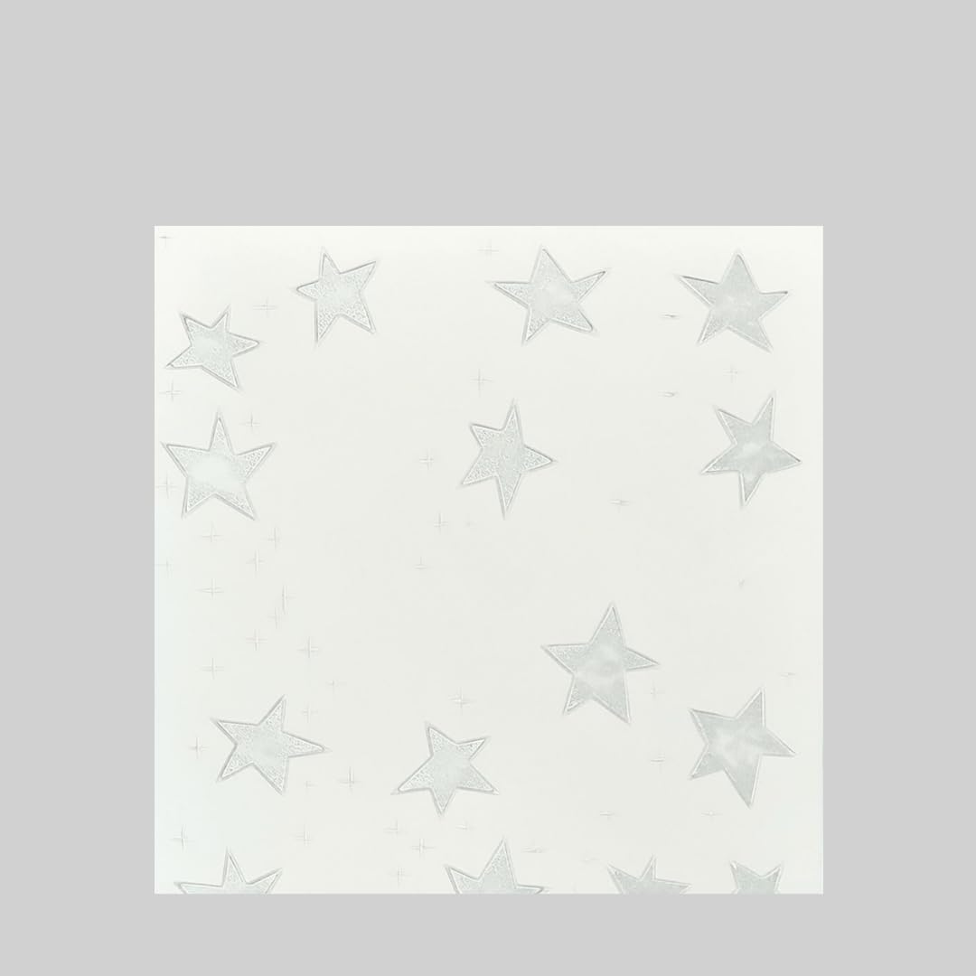 Decorative Ceiling and Wall Panels 2m2 (21.52 sqft) - 8 Panels (Silver Stars)