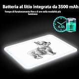 TOHETO B0CHF8PMYC lato 2