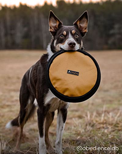 Ollydog Flyer Disc, Dog Frisbee, Lightweight And Floating, Dog Toys Interactive, Dog Stuff, Gentle On Teeth And Gums (Golden Spice) #TOP3