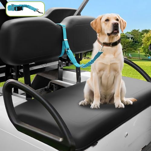 Golf Cart Dog Seat Leash, Pet Dog Seat Belt Harness for Golf Cart, with Adjustable Straps, Prevents Falls & Injuries, Blue