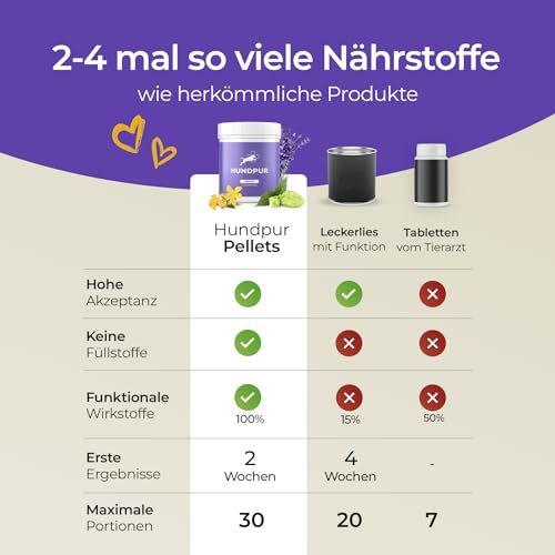 Hundpur Nerven 300 g - Zusatzfutter - Pellets für Hunde gegen Stress & Angst - Mit Johanniskraut, Lavendel & Magnesium - Stärkung der Nerven Hund - Made in Germany