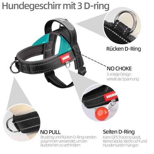 LiebeDD Hundegeschirr mit Leine für Mittelgroße Kleine Hunde Welpen, Bunt Farbblock Geschirr, Mesh Gepolstert Brustgeschirr Hund mit Griff und Brustring, Reflektierend & Leicht, Schwarzgrau, L