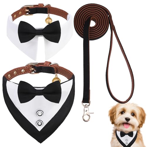 Image of EXPAWLORER Dog Collar and Leash Set - Dog Tuxedo Wedding Outfit Puppy Collar with Suit and Tie, Cute Ring Bearer in Tux Bow and Bandana Design, Proposal Costume for Small Pets