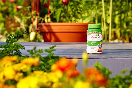 Osmocote Smart-Release Plant Food Flower & Vegetable, 1 lb. - Thumbnail 2