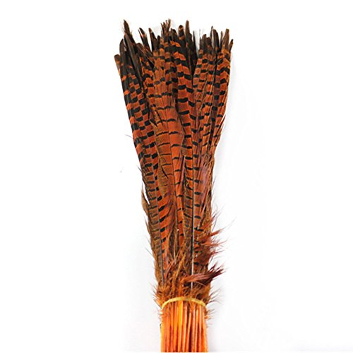 Kolight Set Of 10Pcs Natural Dyed Pheasant Tails Feathers 12-14 Inch Diy Decoration (Orange) #TOP1