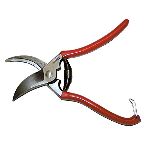 TIJERA PEZUÑA CORTE CURVO 23CM