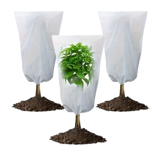 Cappuccio Protezione Piante Inverno 3 Pezzi da1x1,6 m, Telo Antigelo per Piante in Tessuto non Tessuto, Copertura Piante Inverno 17g/m2, telo per piante inverno antigelo, telo termico per piante