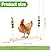 Jorewood Chicken Coop Swings, Outdoor Poultry Exercise Perch for Hens, Roosters