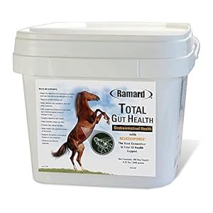 Ramard Total Gut Health Equine Digestive Support – Equine Gut Health Supplement Probiotics for Horses, Healthy Gut Vitamins, Gastric Relief, Optimum Digestive Health for Horses 6.75 lbs,180-Day Supply