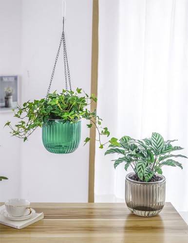 image for Melphoe 2 Pack Self Watering Hanging Planters Indoor Flower Pots, 6.5 