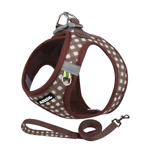 AIITLE Verstellbares Hundegeschirr und Leinen-Set, weiches Netzgewebe, reflektierendes Karomuster, Welpen und Hauskatzen, zum Spazierengehen und Laufen im Freien, Schokolade, XS